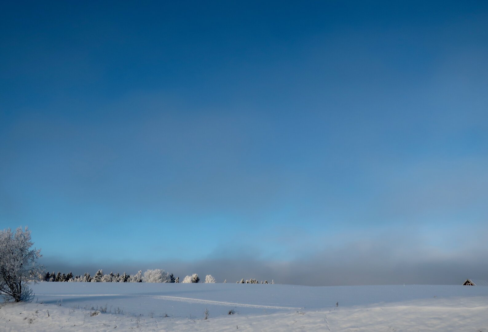 looking over a snow covered field on top of a rolling hill, with a treelike at the horizon. The huge sky is blue with some misty clouds coming up from the other side of the hill. It's cold and the birches are frozen white, while the pie trees look black against the white. In the right lower corner, the tip of a red barn with two small windows is visible, making it look like the barn is looking over the field.
