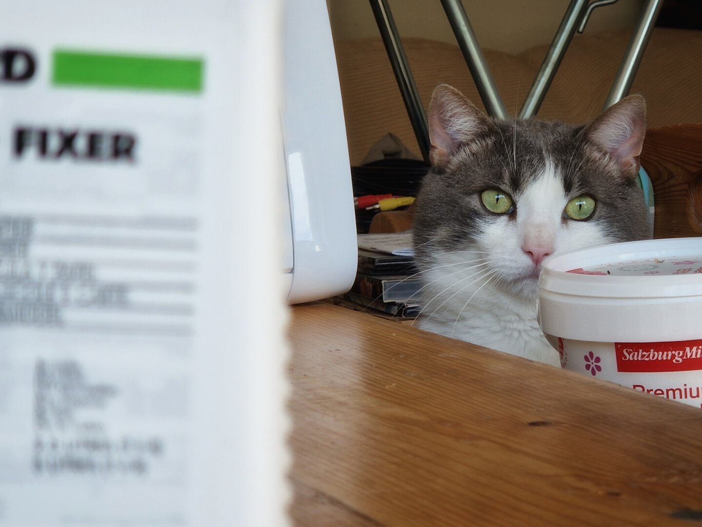 A bottle of fixer with a staring cat