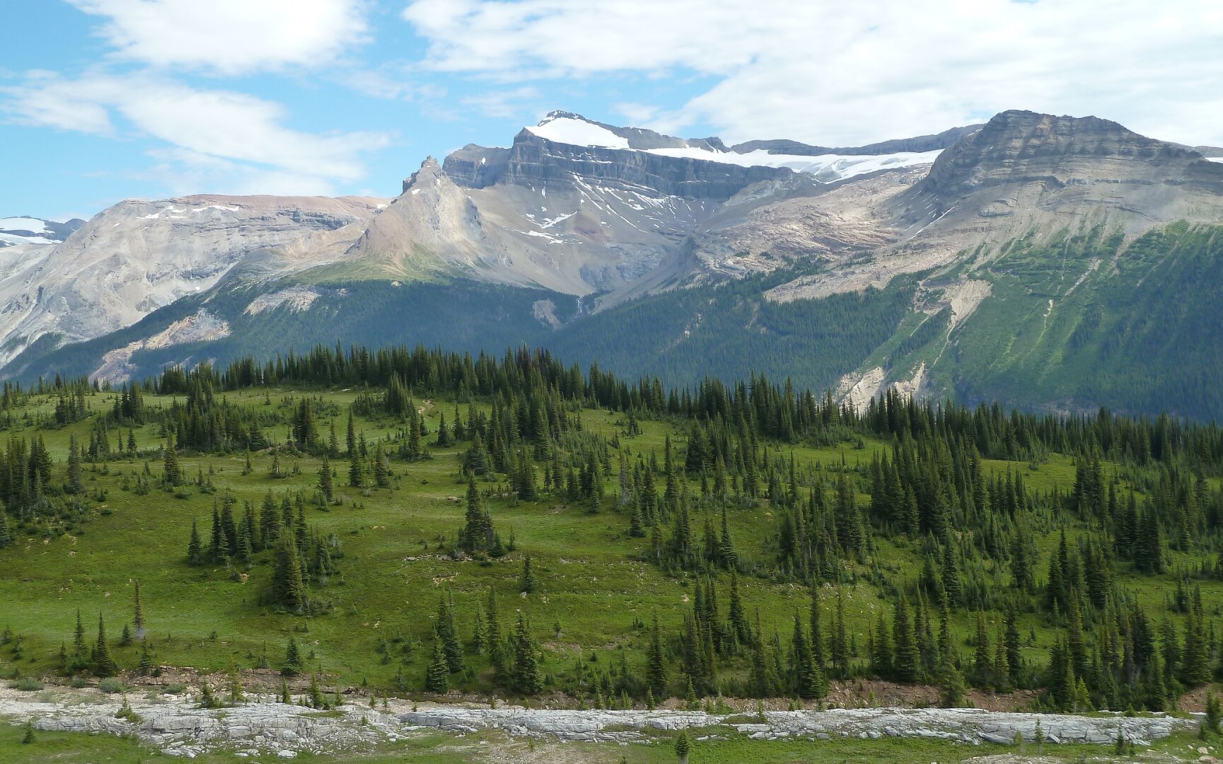 Photograph of a green hill covered with a sparse forest of small, straight, narrow conifers, at the foot of green-sided brown mountains with patches of snow at the top, under a cloudy blue sky.

Photographie d’une colline verte couverte d’une forêt éparse de petits conifères droits et étroits, au pied de montagnes brunes aux flancs verts avec des plaques de neige au sommet, sous un ciel bleu nuageux.