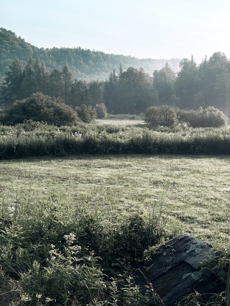 Posted media