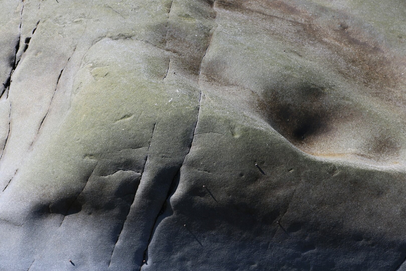 Photograph of the rounded corner of a grey seaside rock, with a few cracks and holes made very smooth and softened by the action of the waves and tides. Shades of green and pinkish brown dot the grey. The sun creates shadows in every crack and crevice. In the foreground, tiny shells cling to the vertical part of the rock, and also cast their shadow downwards.

Photographie du coin arrondi d'un rocher gris de bord de mer, avec quelques craques et trous rendus très lisses et atténués par l'action des vagues et des marées. Des teintes de vert et de brun rose parsèment le gris. Le soleil crée des zones d'ombres dans chaque craque et anfractuosité. À l'avant-plan, de touts petits coquillages s'accrochent sur la partie verticale du rocher, et projettent eux aussi leur ombre vers le bas.