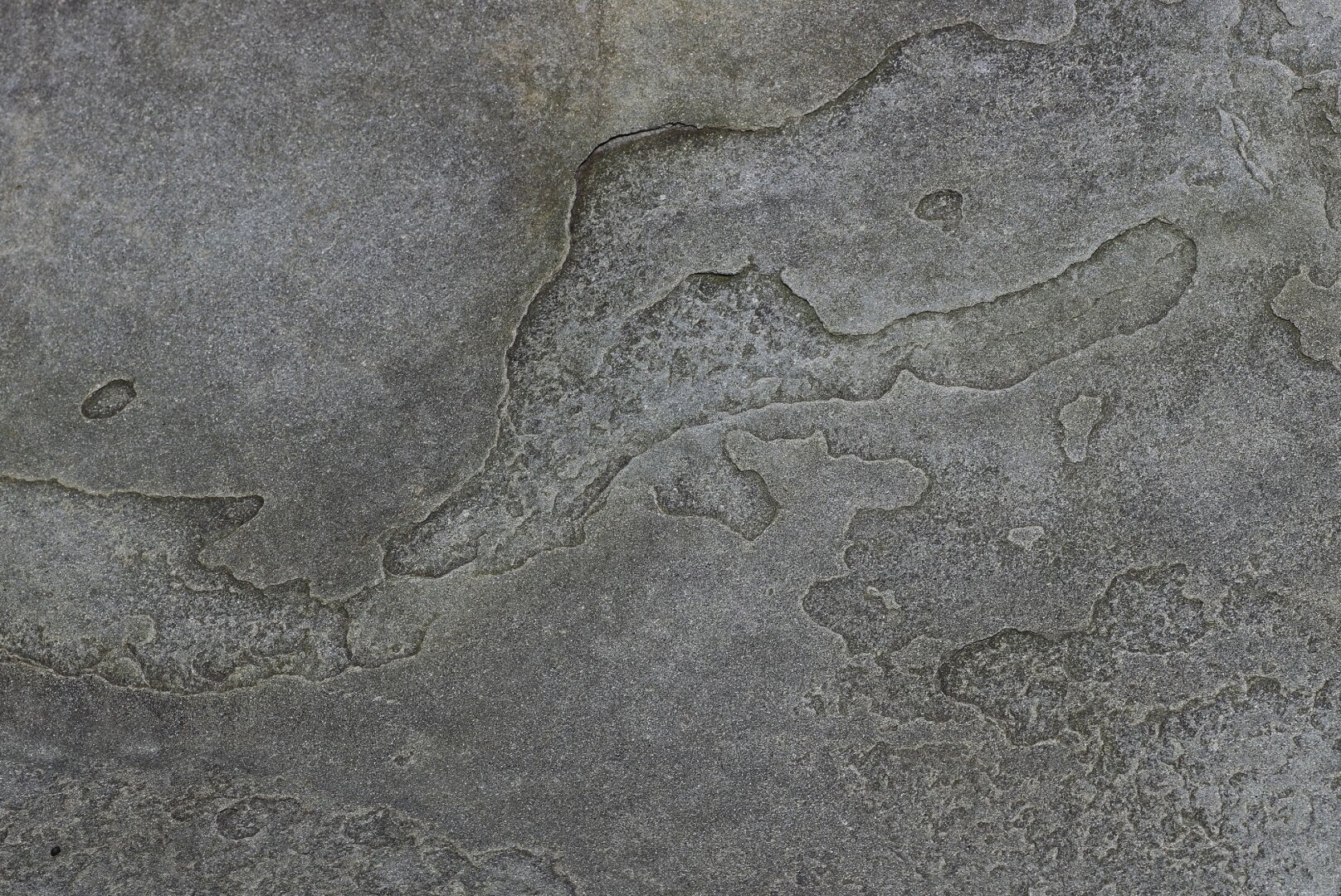 A close-up photograph of the rough, grey surface of a rock, showing very thin, rounded, map-like relief and hollow plates.

Photographie en gros plan de la surface rugueuse et grise d'un rocher, montrant des plaques en relief et en creux très minces, arrondies et ressemblant à une carte géographique.