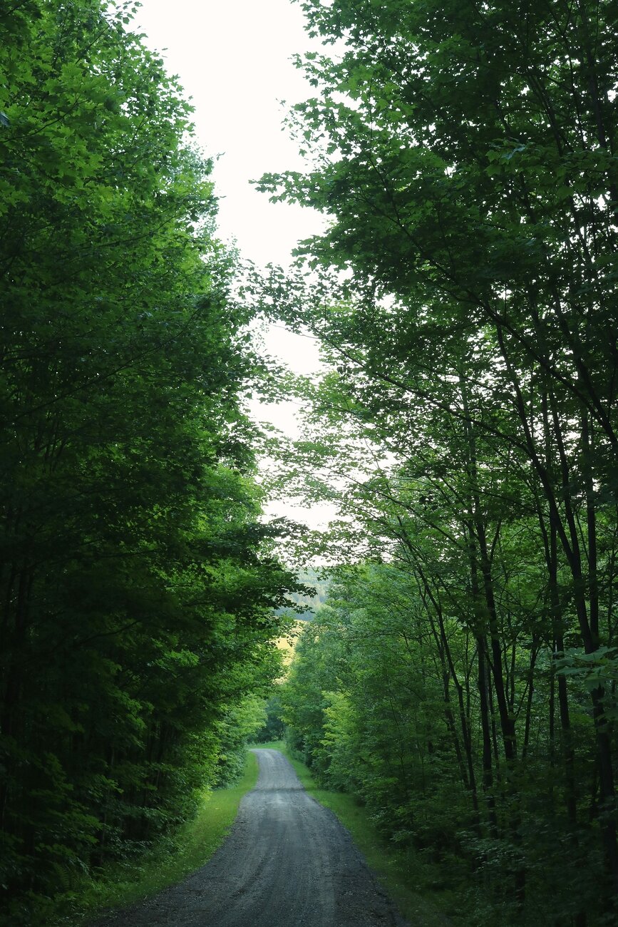 Photograph of a dirt path descending and crossing the forest. The trees are deciduous, their leaves almost touching above the path. Diffuse light from the overcast sky filters through the leaves. In the distance below, a landscape of fields and hills is barely visible between the branches.

Photographie d'un chemin de terre, descendant et traversant la forêt. Les arbres sont des feuillus, dont les feuillages se touchent presque au-dessus du chemin. La lumière diffuse du ciel couvert filtre à travers les feuilles. Au loin en contrebas, un paysage de champs et de collines se devine à peine entre les branches.