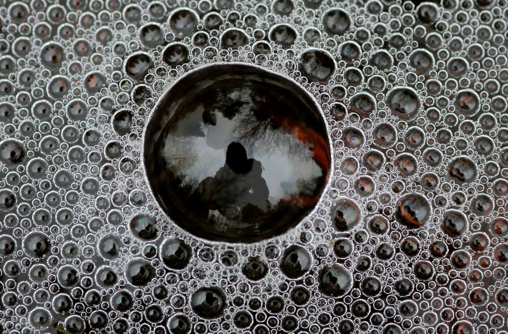 Macro photograph of a large air bubble on the surface of a stream, surrounded by medium and small bubbles arranged in a very regular pattern. The photographer is reflected in the center of the bubble, as are the surrounding trees and sky. Orange pine needles are visible underwater and are reflected in several of the bubbles.
Photographie macro d'une grosse bulle d'air à la surface d'un ruisseau, entourée de bulles moyennes et petites, organisées dans un pattern très régulier. La photographe est reflétée au milieu de la bulle, tout comme les arbres et le ciel autour. Des aiguilles oranges de sapins sont visibles sous l'eau et se reflètent dans plusieurs des bulles.