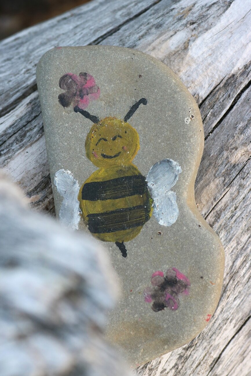 Close-up photograph of a flat, grey, smooth "B"-shaped shoreline stone, with a smiling yellow and black bee, painted in a naive style. Its wings are white and two pink flowers surround it. The stone is placed on a piece of shoreline wood, well worn and cracked.

Photographie en gros plan d'une pierre de rivage, plate, grise et lisse, en forme de "B", avec une abeille jaune et noire souriante peinte dans un style naïf. Ses ailes sont blanches et deux fleurs roses l'entourent. La pierre est posée sur un bout de bois de rivage, bien usé et craqué.