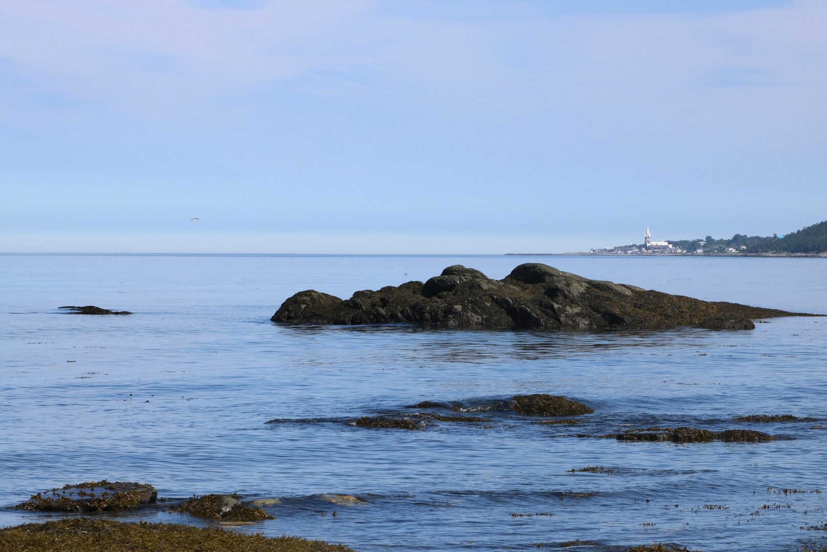 Photograph of a seaside landscape, showing some dark grey rocks surrounded by blue sea, under a sky almost the same blue. On the horizon behind, a point advances into the sea from the right, with a village and a church and its large bell tower shining in the sun.

Photographie d'un paysage de bord de mer, montrant quelques rochers gris foncé entourés de mer bleue, sous un ciel presque du même bleu. À l'horizon derrière, une pointe s'avance dans la mer à partir de la droite, avec un village et une église et son gros clocher brillant au soleil.