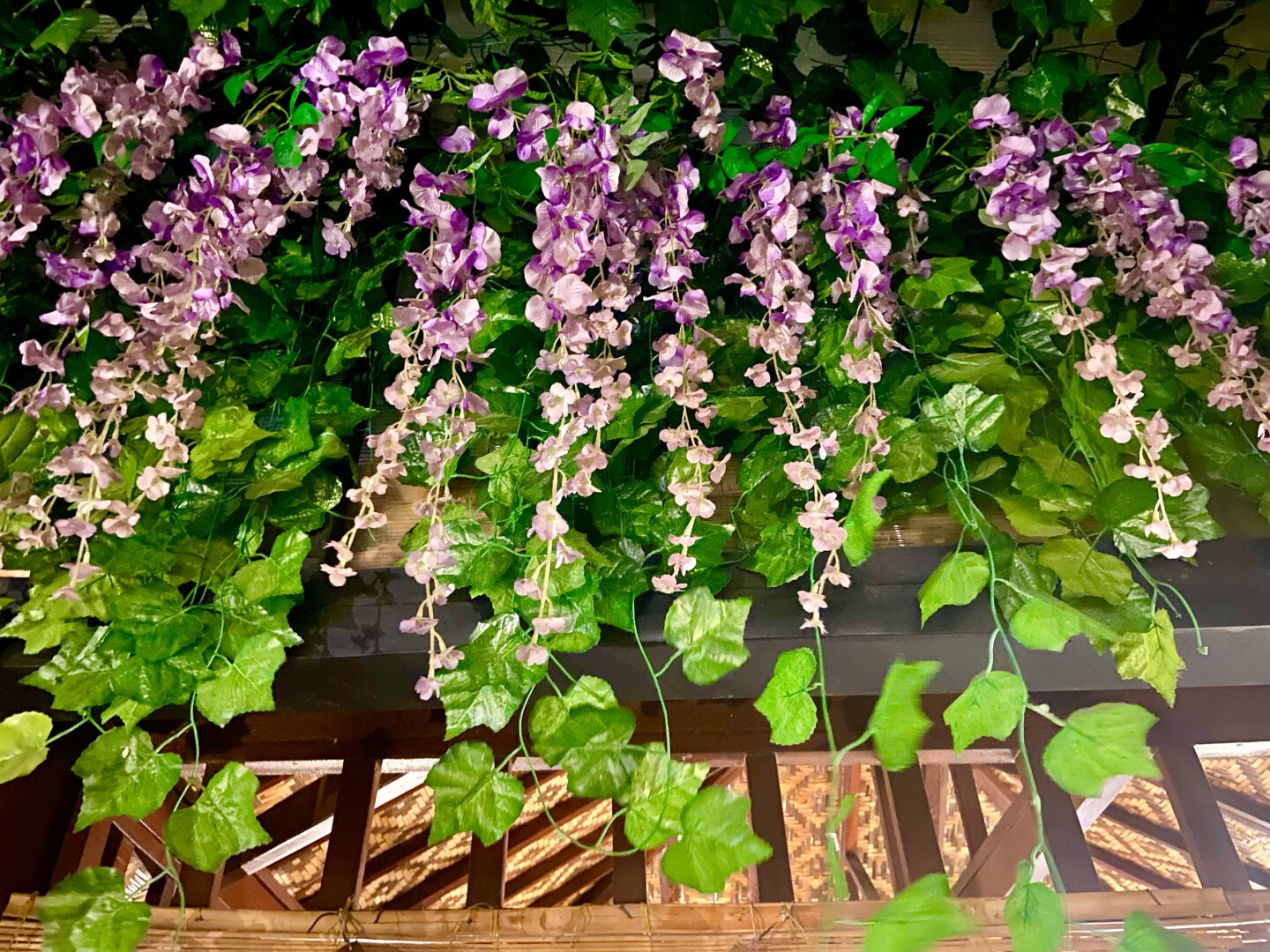 Flowers hanging down from the edge of a ceiling.