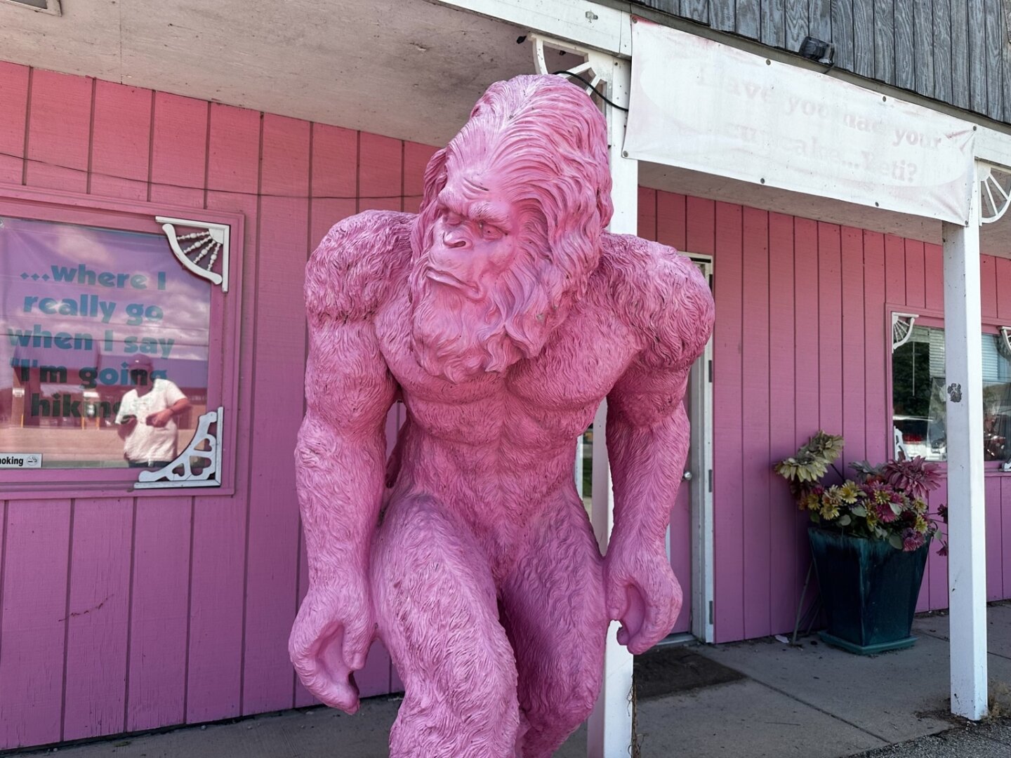 A statue of Bigfoot - presumably life sized - is pink and standing in front of a pink building where cupcakes are sold. It’s looking quizzically to its right.