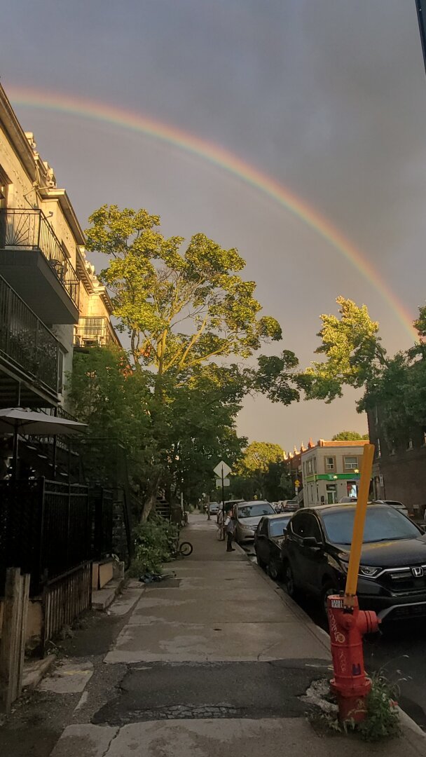 Rainbow over Mile End, Montreal - Rue Hutchison looking south