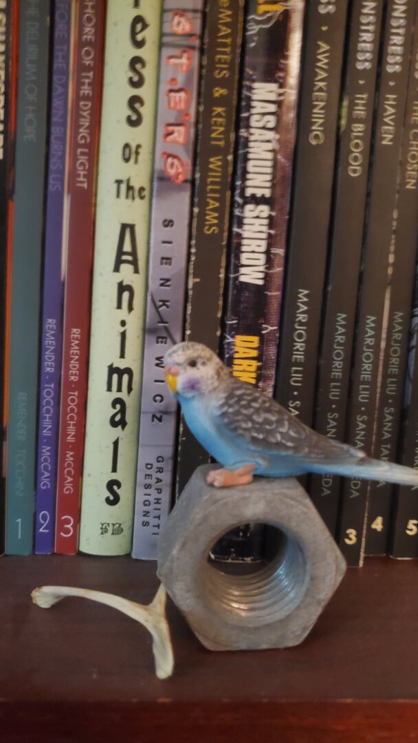 Curio items and books, on a bookshelf.