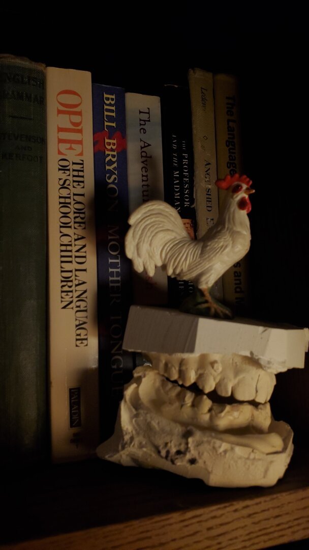 Bookshelf with curio objects