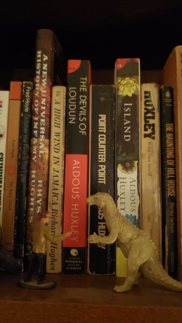 Curio items and books, on a bookshelf.