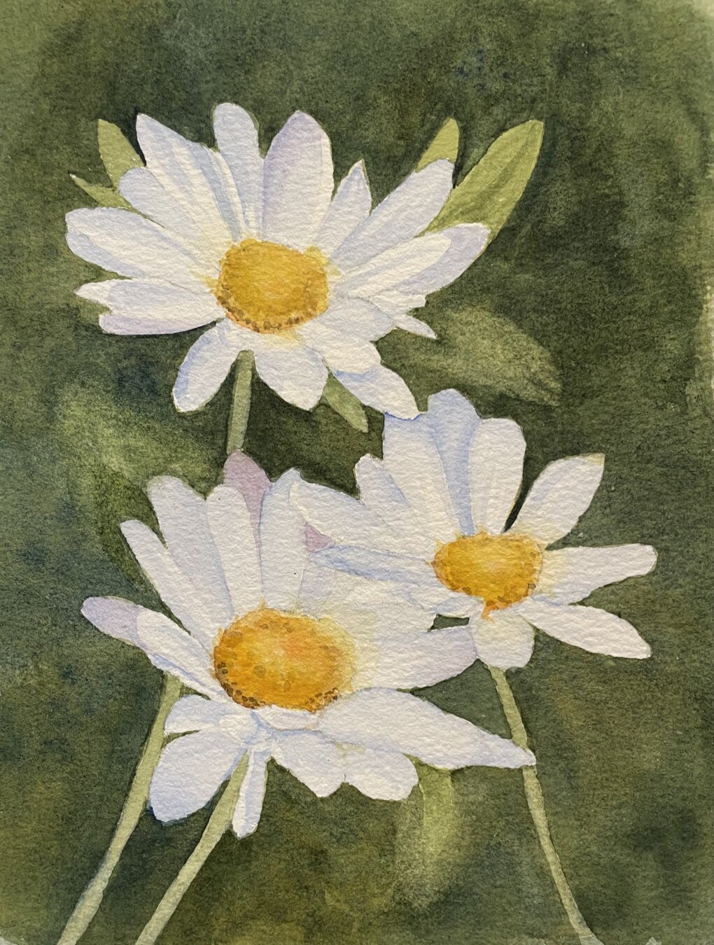 This picture is a watercolor painting of three white daisies with yellow centers set against a lush green background.