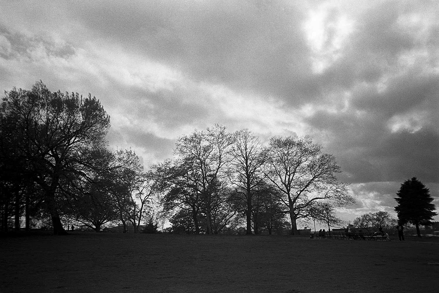 sunset park image of the park with grassy area and treeline in the background