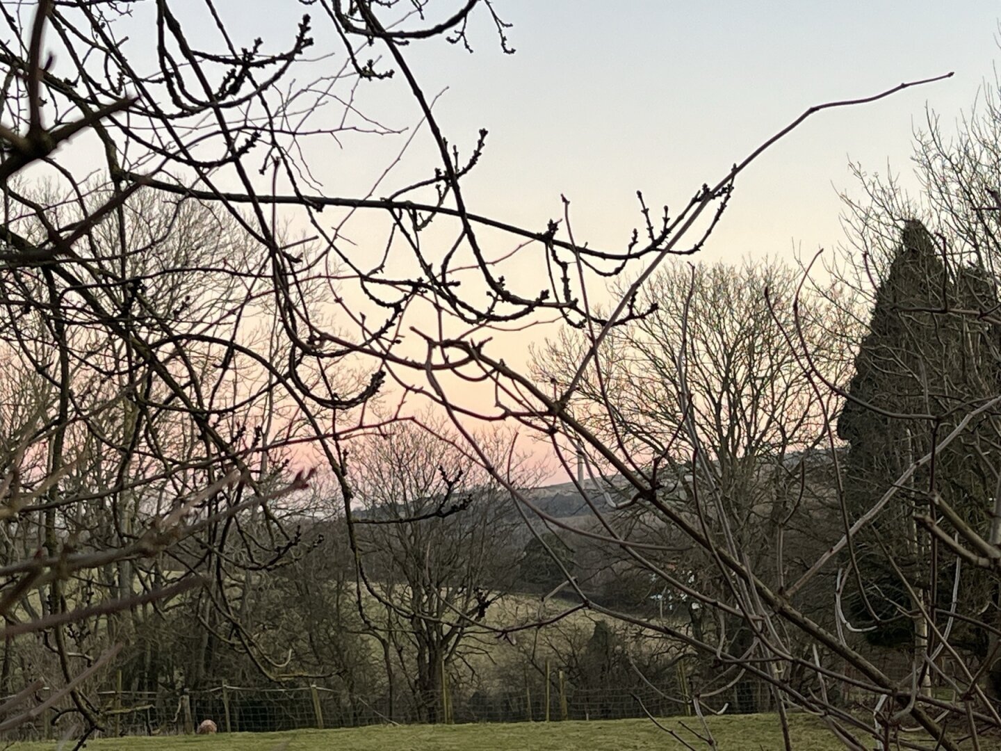 Leafless branches frame a serene landscape with a pastel-colored sky, distant hills, and a grassy area.