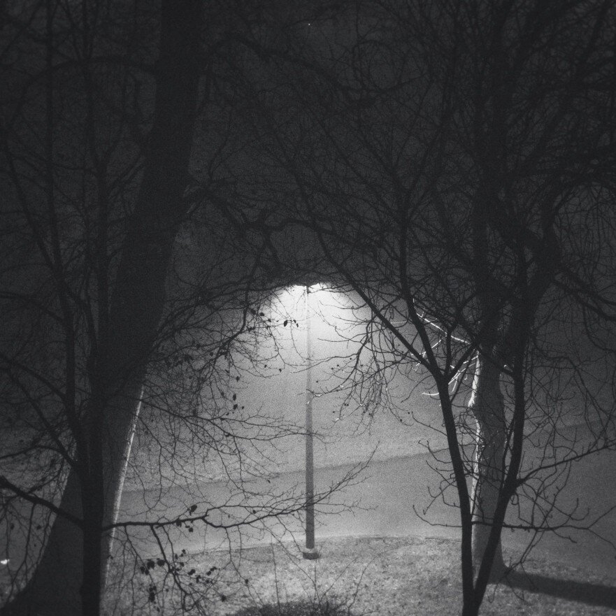 A grayscale image of a park at night. Bare trees and a streetlamp are visible in a foggy or misty atmosphere.  The light from the lamp illuminates a small area, casting a soft glow in the surrounding darkness.  The image is serene and tranquil, with the focus on the contrast between light and shadow.