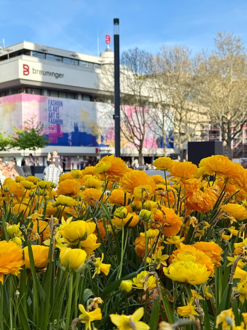 Blumen, im Hintergrund ein Gebäude.
