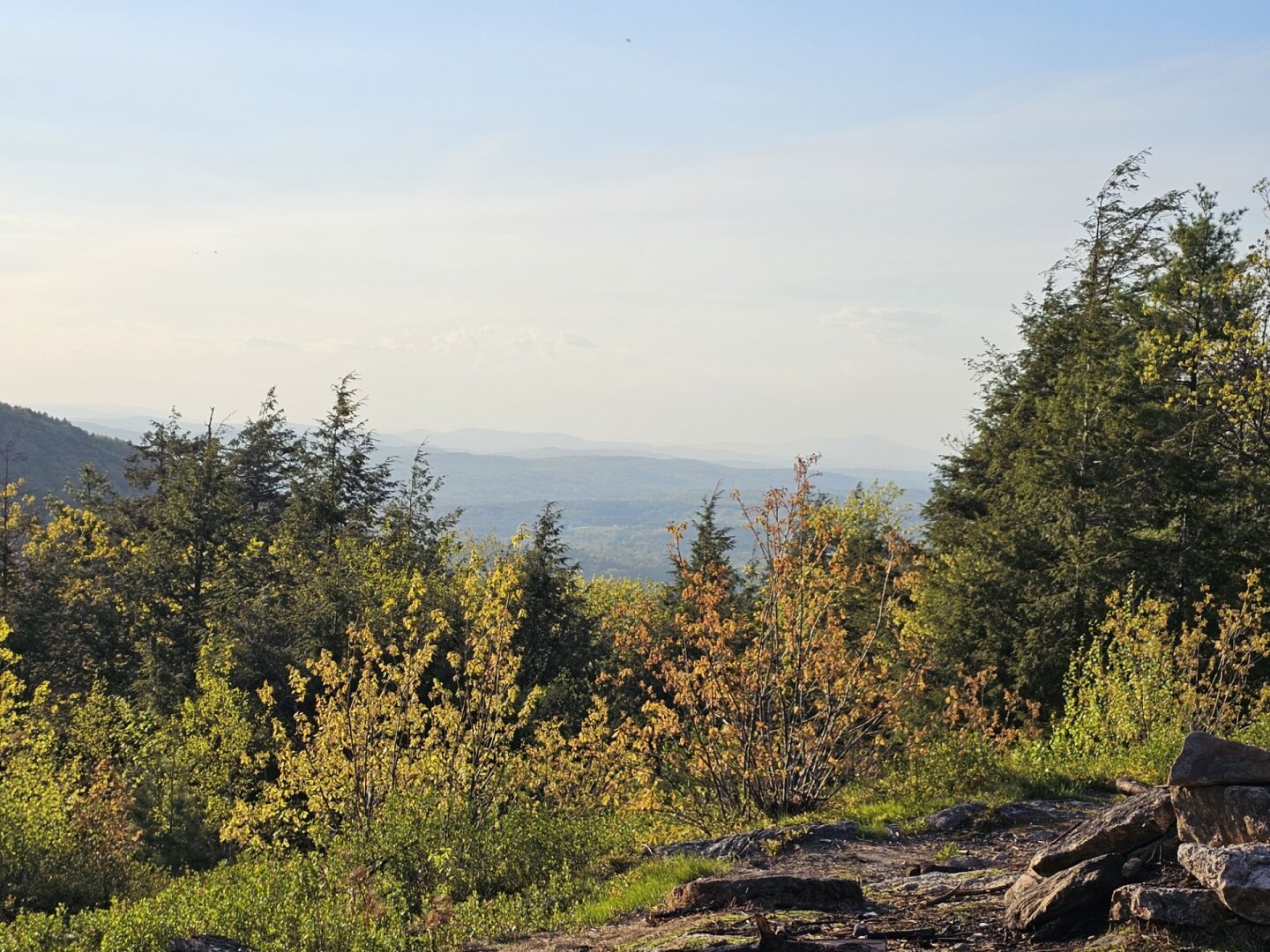 Rock ledge view of a city covered in early summer haze with trees around