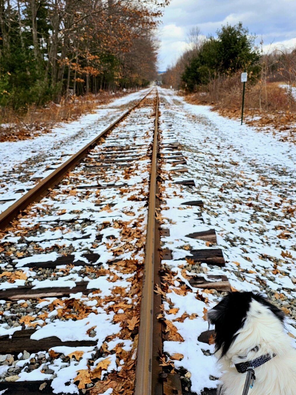 Empty train tracks next to the river covered in snow and leaves