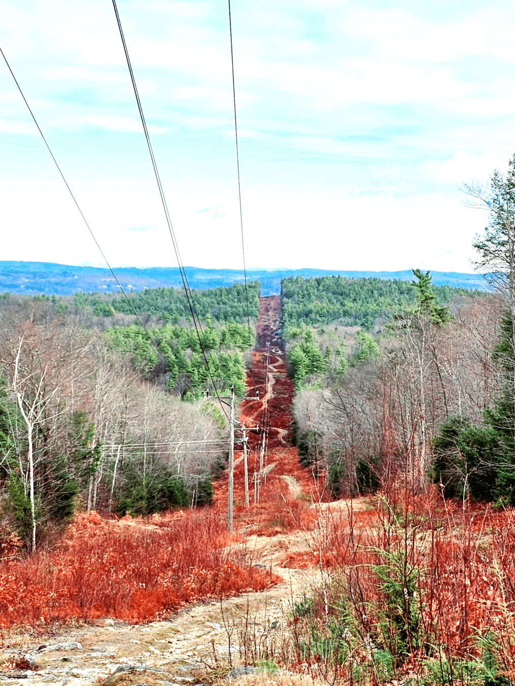 winding brown dirt foot path under the powerlines runs through the center of frame with reddish green bushes along the sides. bare gray trees, and green pines  with blue rolling hills in the distance