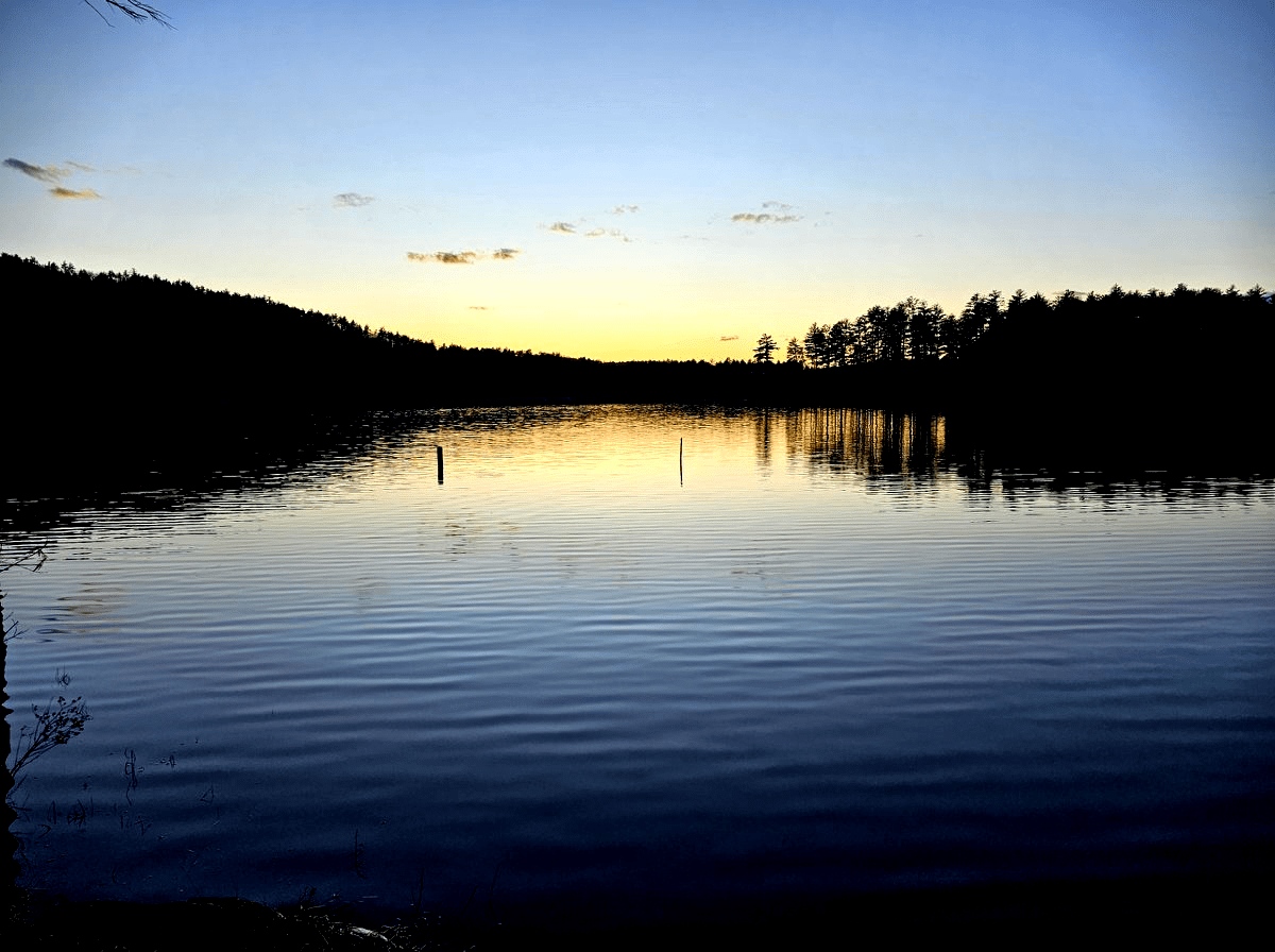 Orange sunset over a lake with dark silhouetted trees bordering it