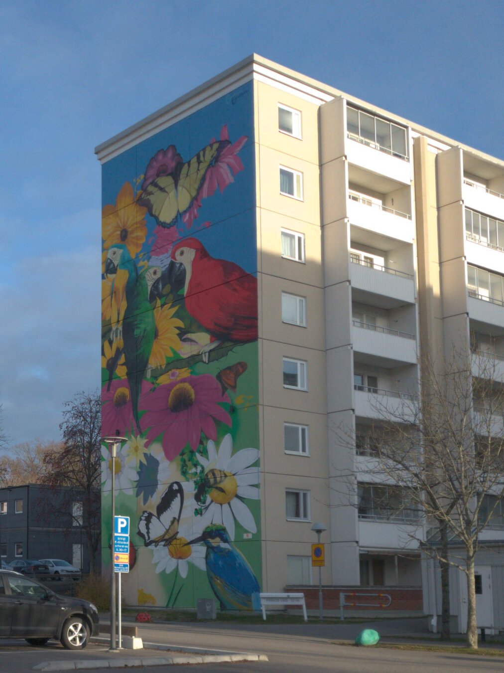 Höghusvägg med målat motiv bestående av fåglar fjärilar med mera. Blå himmel, en bil på parkeringen. Beige husvägg på långsidan med vitmålande balkongfronter.