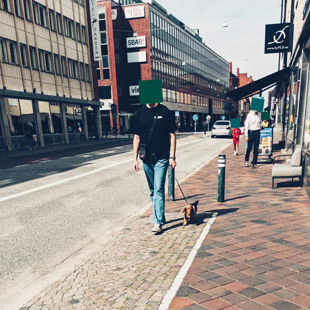 A man in a black shirt and jeans walking his sausage dog