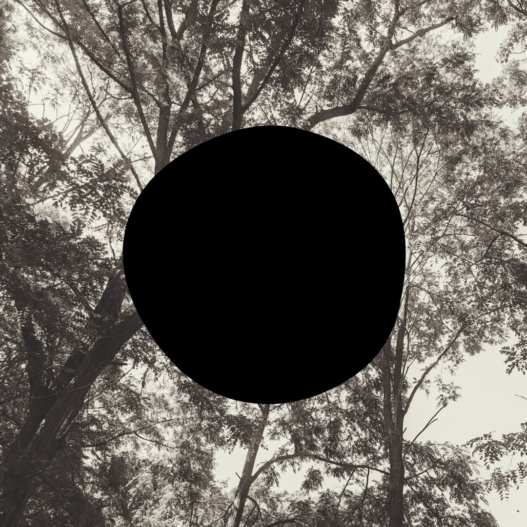 A black and white photo of trees and a large black circle in the middle.