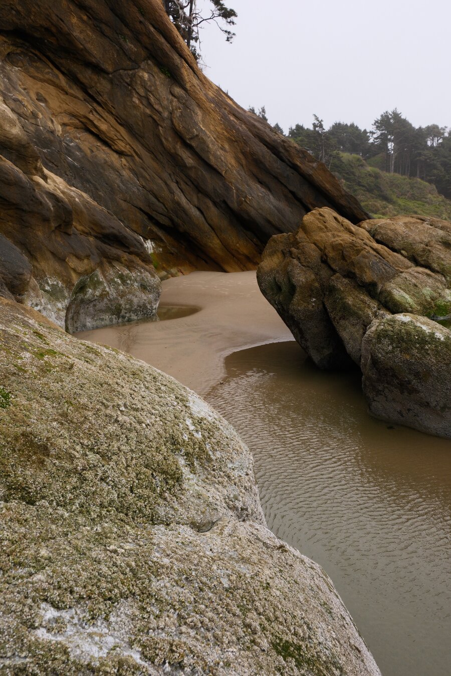 Diagonally slanted beach rock formations enclosing a path of sand and water during low tide. The upper right corner of the photo behind the rocks contains a background of trees and overcast white sky.