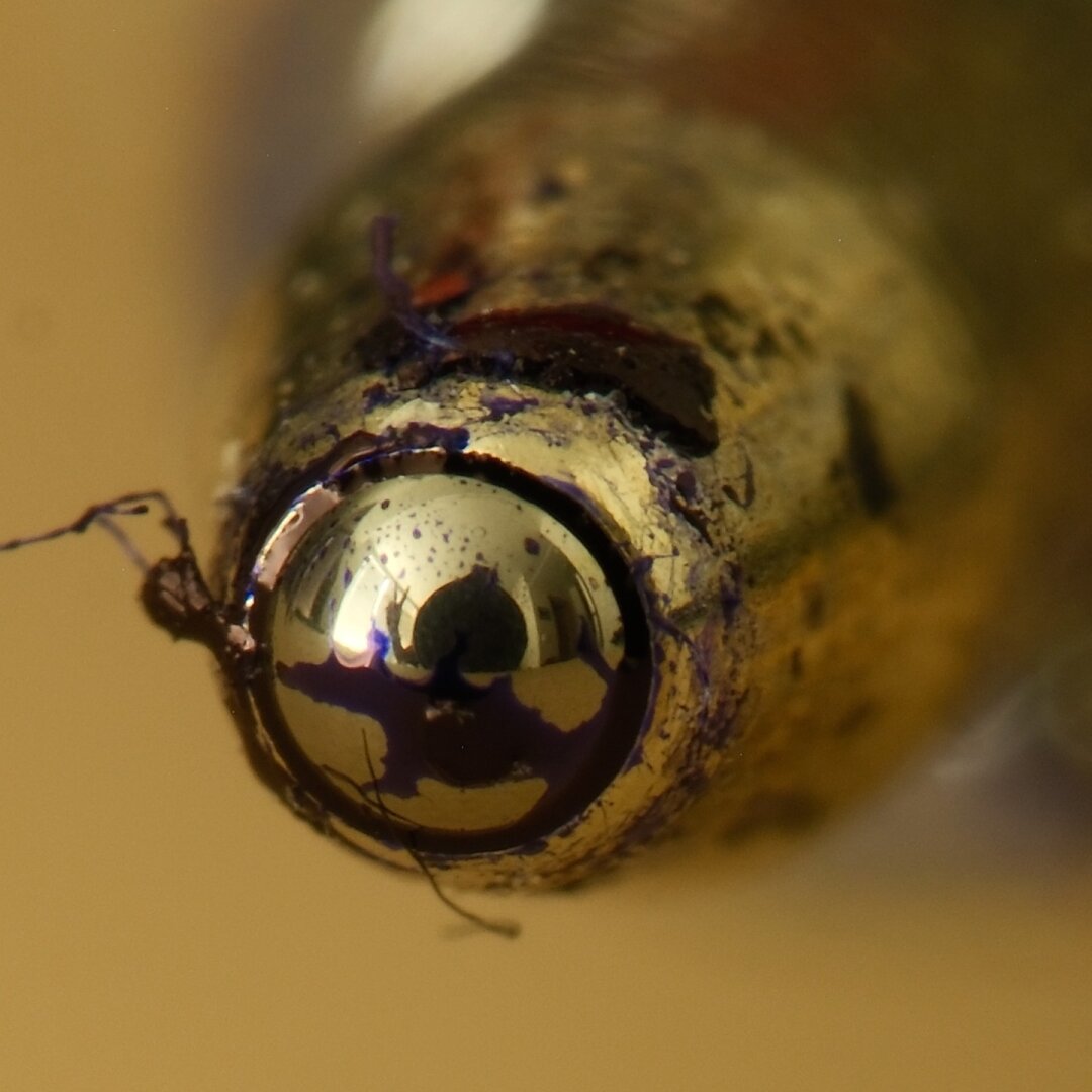 A close up macro photo of the tip of a blue ballpoint pen. If you look close you can see me doing a peace sign in the reflection.