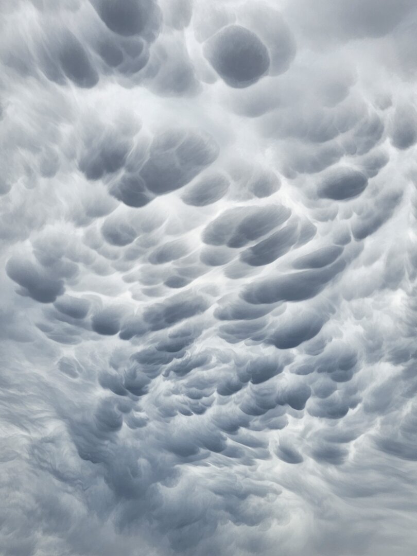 Larger mammatus clouds