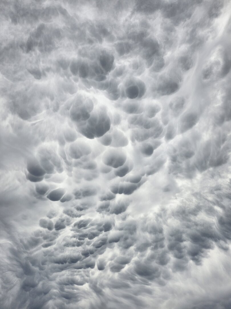 Mammatus clouds