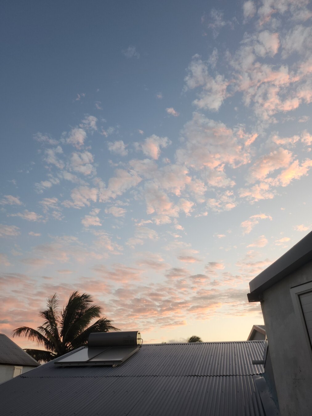 a photo of the sky at dusk with a few clouds over roofs and a coconut tree