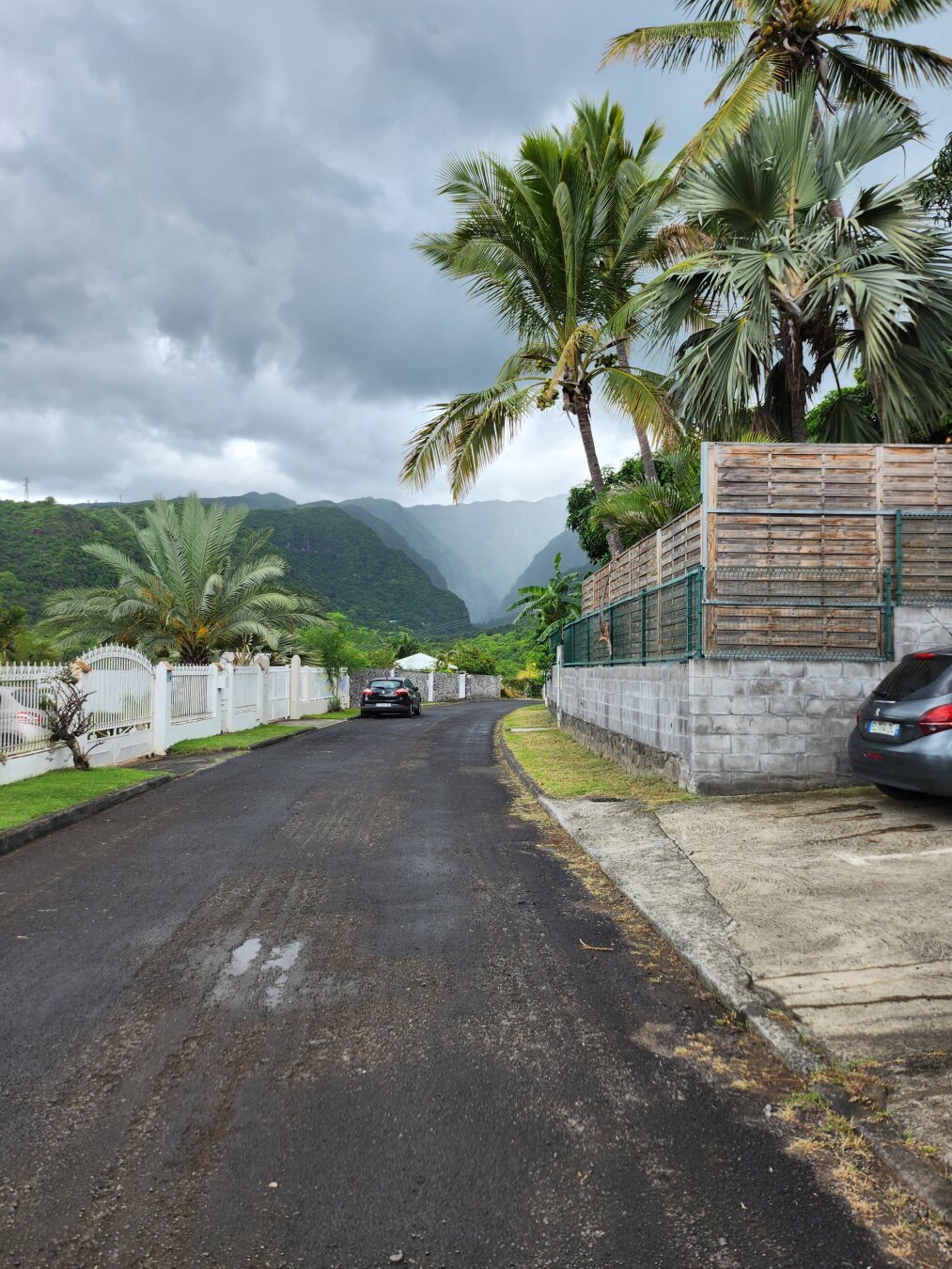 a road in a very residential area, there are lots of trees, including coconut palms in the house on the right and a beautiful palm tree in the courtyard of a house on the left, there are puddles on the wet road which testify to a recent rain, the sky is cloudy, we can see mountains in the background as well as the fog which camouflages the more distant ones, there are puddles on the wet pavement