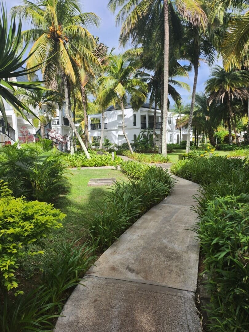 a path through a lush garden leading to a series of cottages acting as a suite