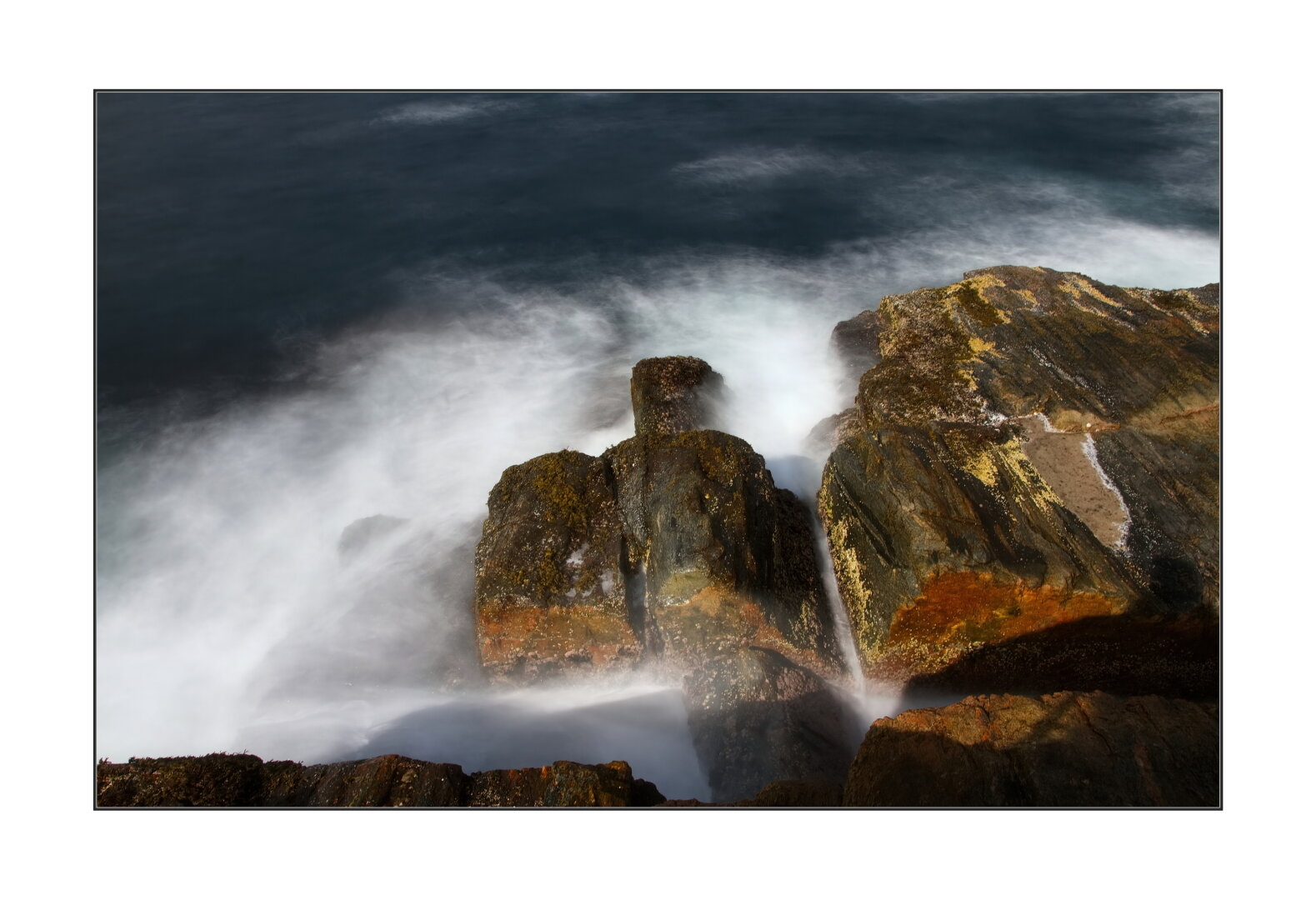 Autumn colours on the ocean rocks....