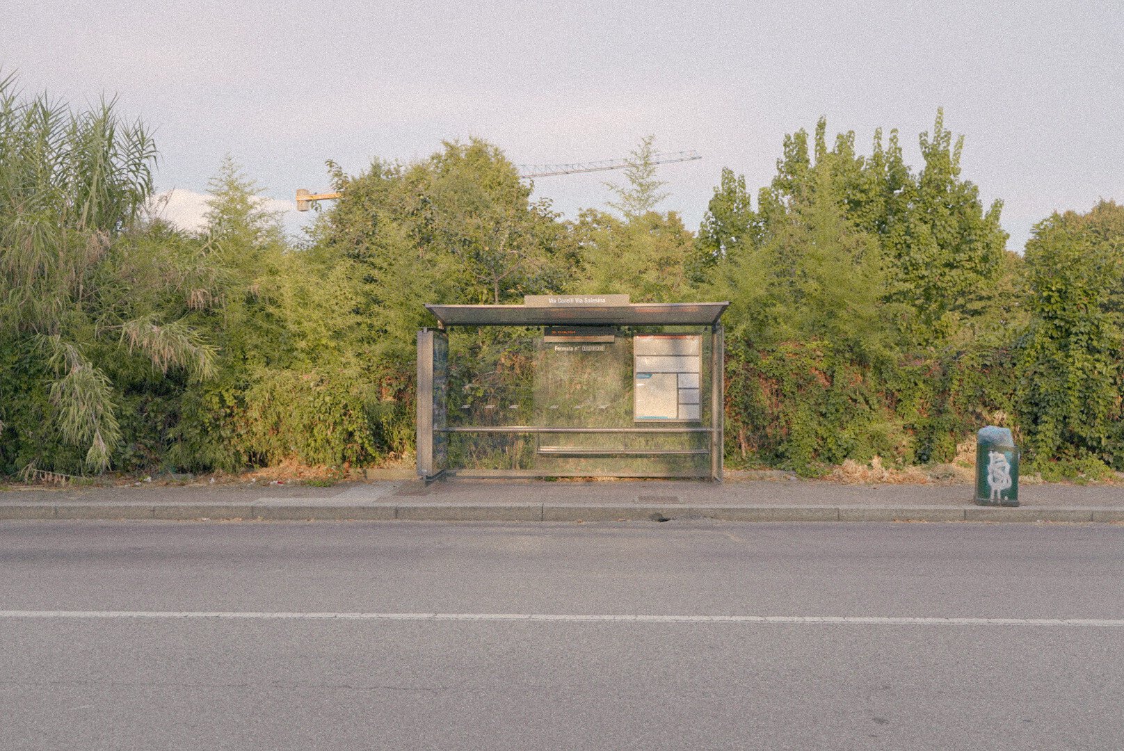 A bus stop with thick vegetation behind it, and a crane in the far background. The bus stop display reads 