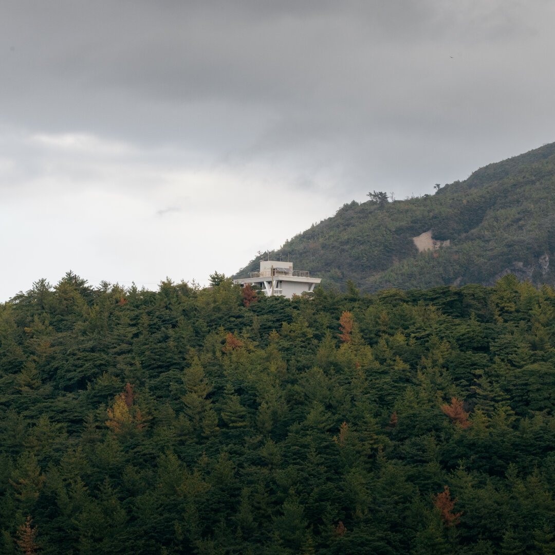 Building in a forest with mostly green, but some orange trees under a cloudy sky