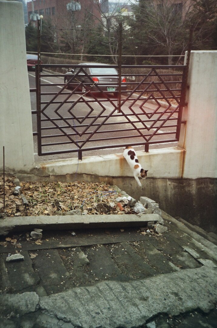 1280px-AAK-