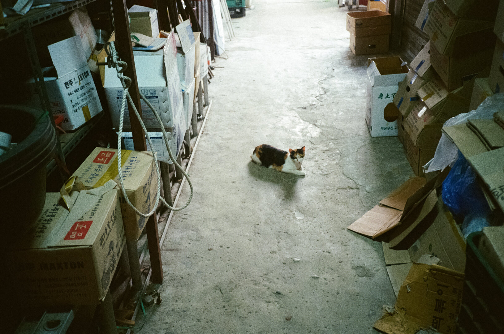 Bogat23k: \, image size:1629x1080