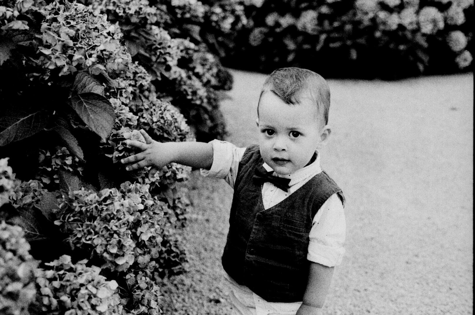 mon petit fils, son fils, en 2019, dans le Beaujolais. Olympus OM1n, argentique.