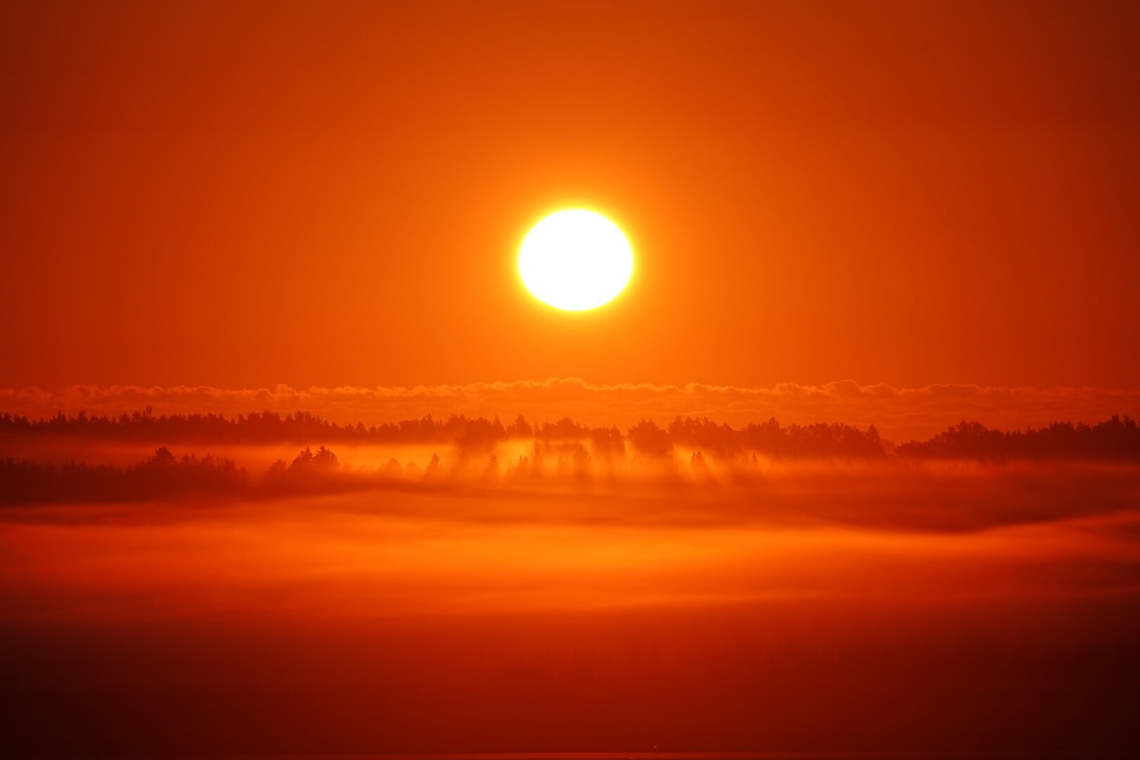 A, overwhelmingly red telephoto of a sunrise over a foggy landscape. Below the sun some clouds can be seen on the horizon, below those are trees peeking up from an undulating mass of fog. The shadows of the trees appear to be radiating away from the sun.