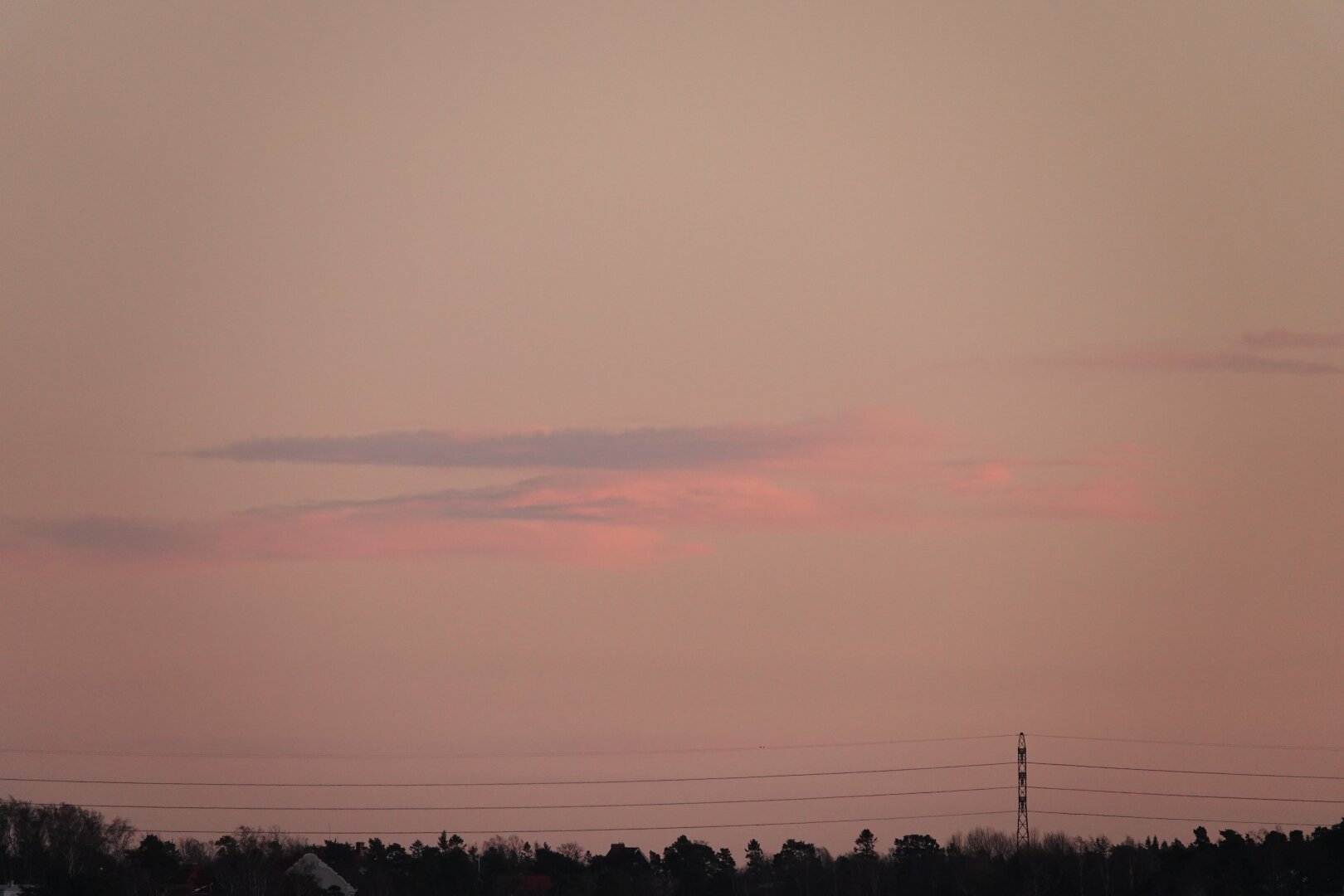 A lone pastel pink Cirrus spissatus cloud on a pale, pinkish gray evening sky. A powerline and a forested horizon frame the image from below.