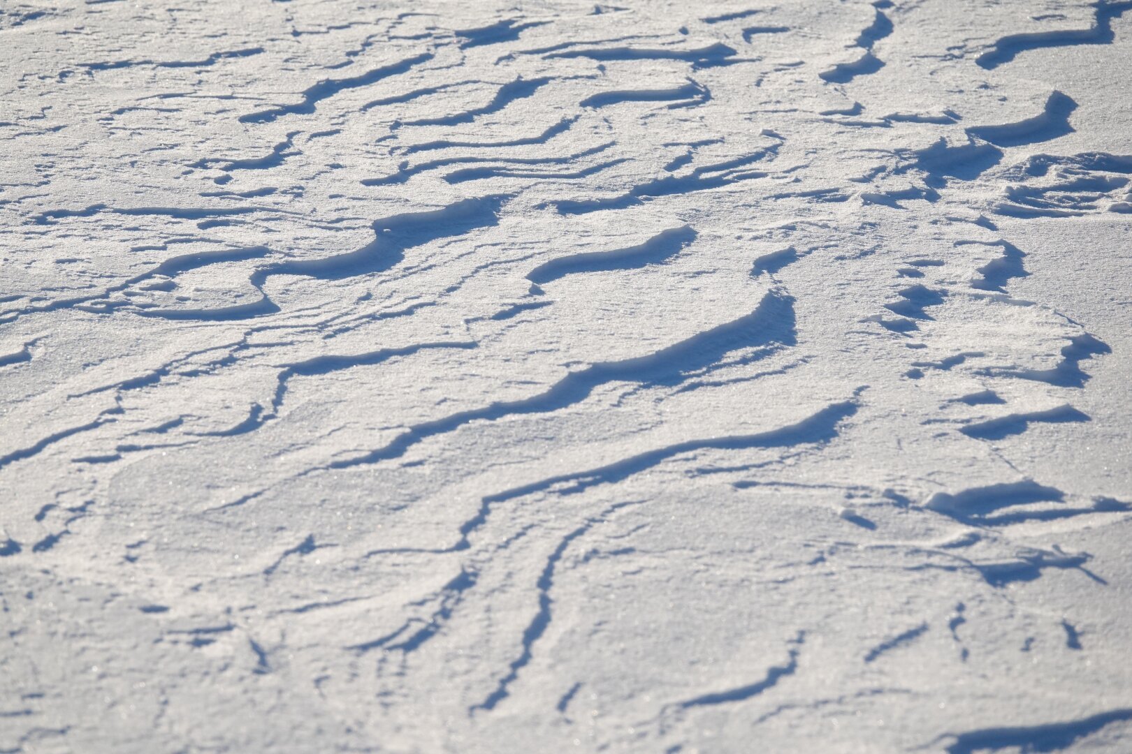 Windblown ridges in sunlit snow. The ridges cast shadows on the snow.