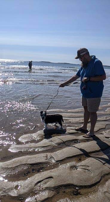 An adult human is walking a small black and white dog on the beach in Maine.