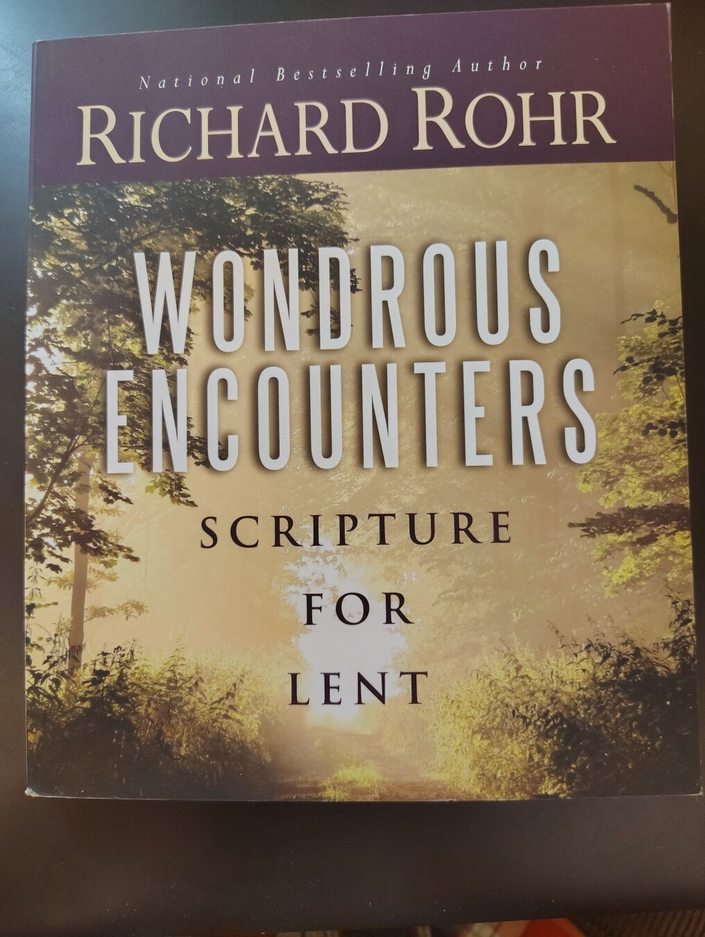 Cover of Richard Rohr's Wondrous Encounters
