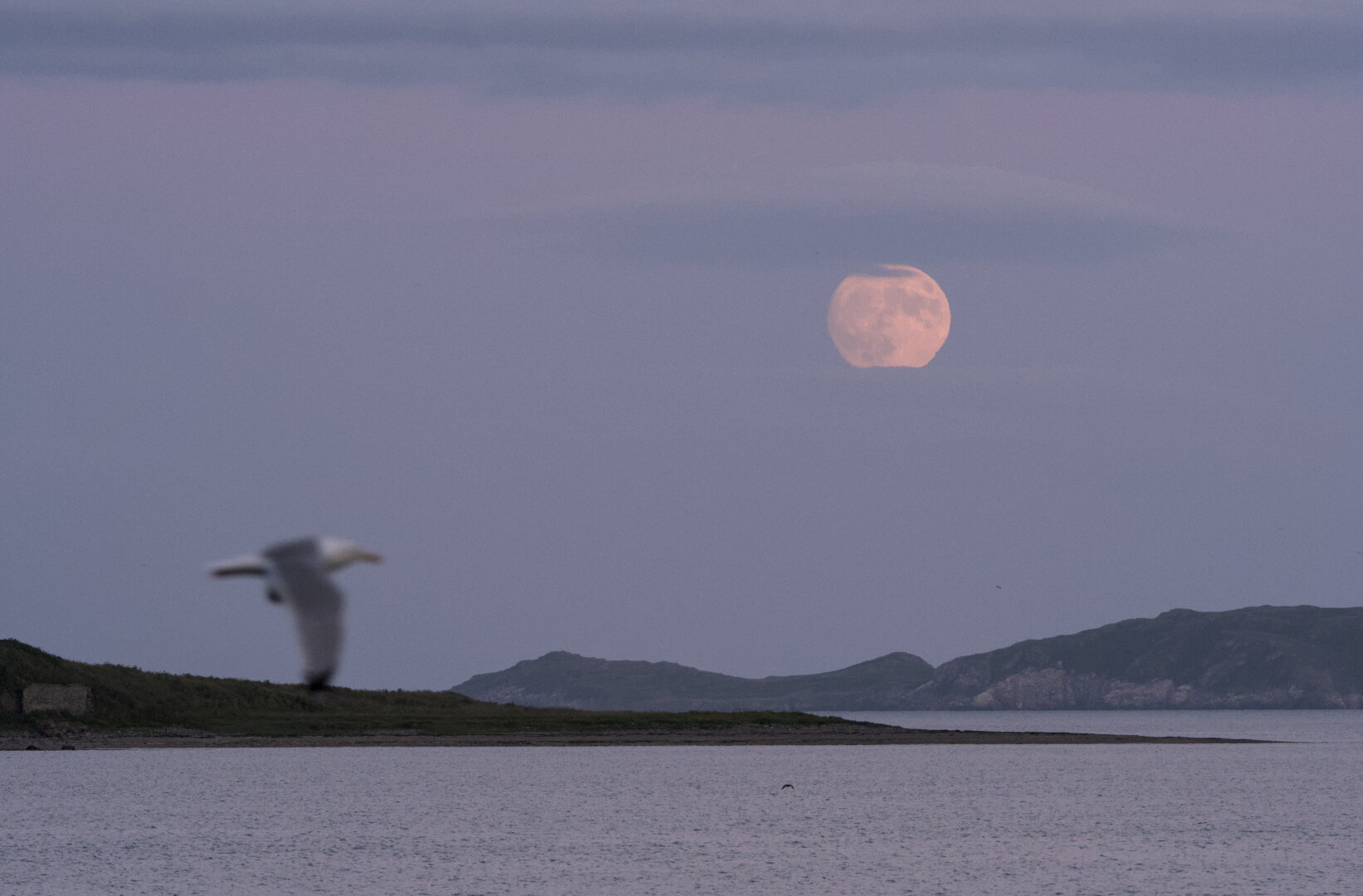 Strawberry Moon, June