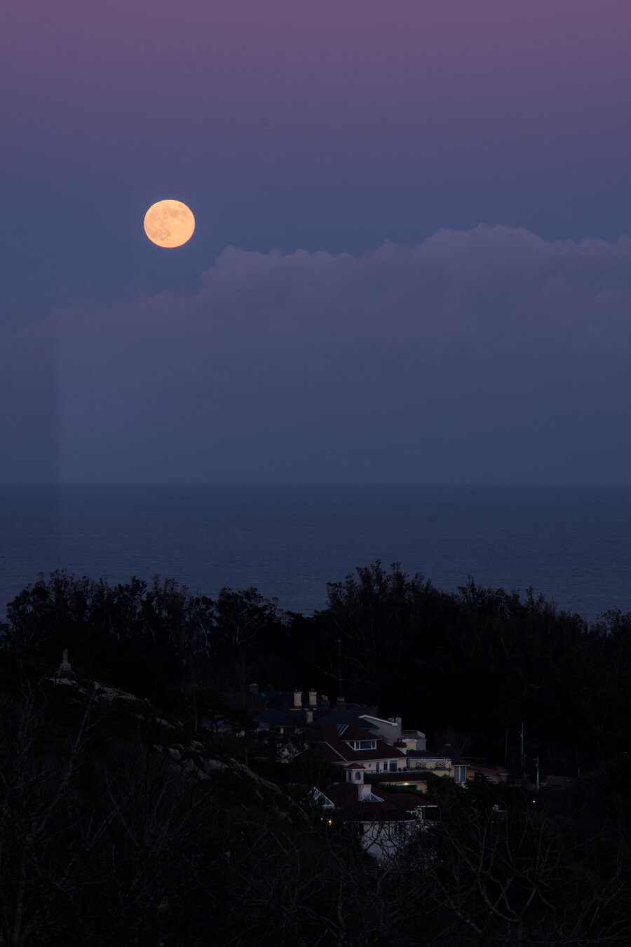 Wolf Supermoon, January