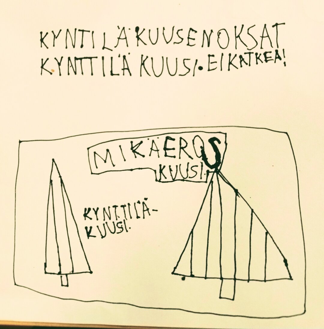 An illustration by our 5-year-old of the difference in shape of a candle spruce and a regular European spruce (Picea abies).