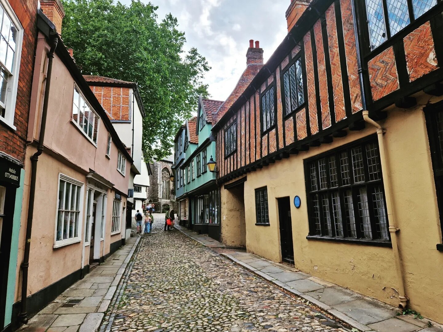Cobblestone street in Norwich, red and yellow brick building with dark brown wooden beams to the right, followed by an almost mint green building. The first one has one or two little chimneys (it's difficult to see) and the green one has two little roofs on the main roof. To the left, less impressive tan and grey-white buildings.